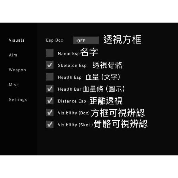 valorant特戰英豪 IVal0 輔助 每人獨立版本 幅能本帳專用 極度穩定!!!