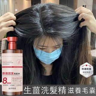 生薑洗髮精 何首烏 生薑洗髮露 強健秀髮 滋養頭皮 500ML 控油洗髮乳 潤髮滋養秀髮