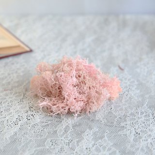 【莫森家居mosson】現貨 永生苔蘚 12g/份 買3送1 玻璃罩永生花 玻璃罩乾燥花 香氛蠟燭罩