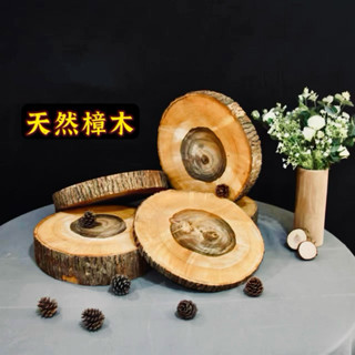 苔鑽🍀天然樟樹 龍柏 原木片/微香味/植物上板材料/蕨類上板材料/隔熱墊/拍照道具/居家飾品/盆栽/造景/空氣清淨