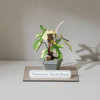 紙模型【紙植栽DIY材料包】斑葉龍爪蔓綠絨 紙風景 紙雕 植物