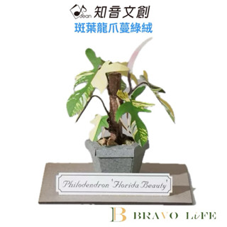 現貨 紙模型 紙植栽DIY材料包 斑葉龍爪蔓綠絨 9028424 紙風景 手作 擺飾 紙模型紙雕 裝飾 DIY