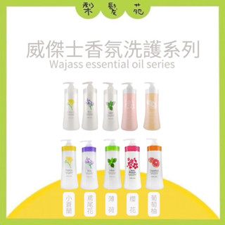💈梨髮苑💈《WAJASS 威傑士》精油洗護系列 小蒼蘭 鳶尾花 櫻花 葡萄柚 玫瑰 薄荷 洗髮精 護髮 瞬間護髮素