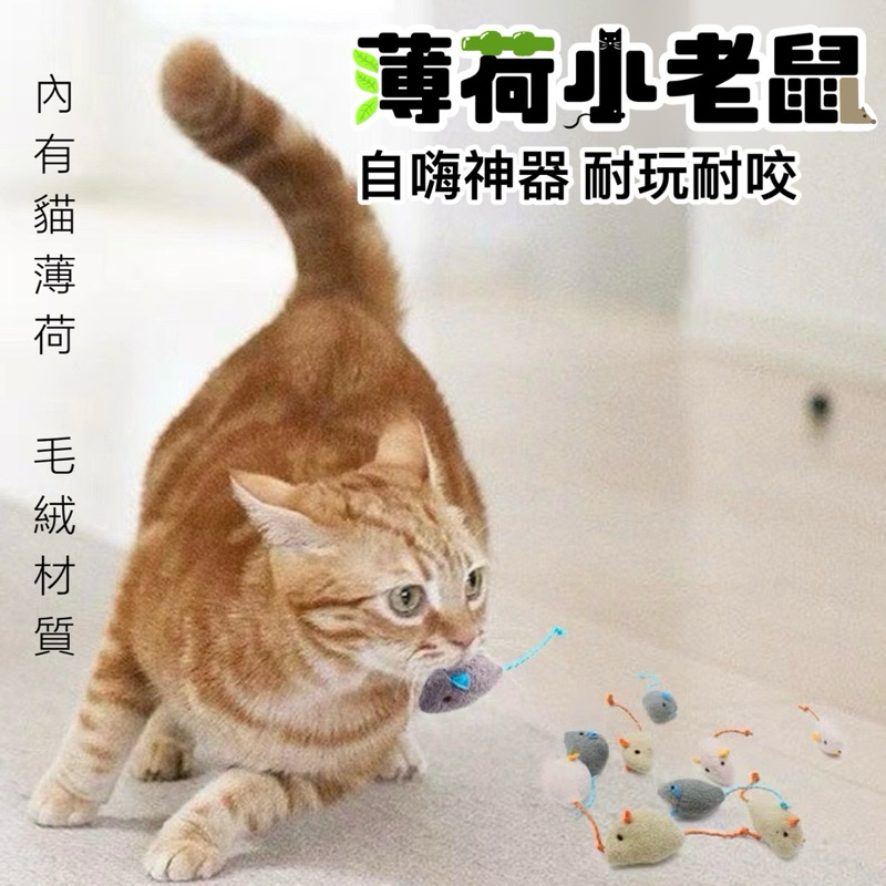 【貓狗共和國】台灣現貨 貓薄荷絨毛小老鼠 寵物玩具 貓咪小老鼠玩具 貓薄荷玩具 絨毛玩具 貓咪紓壓玩具 絨毛小老鼠