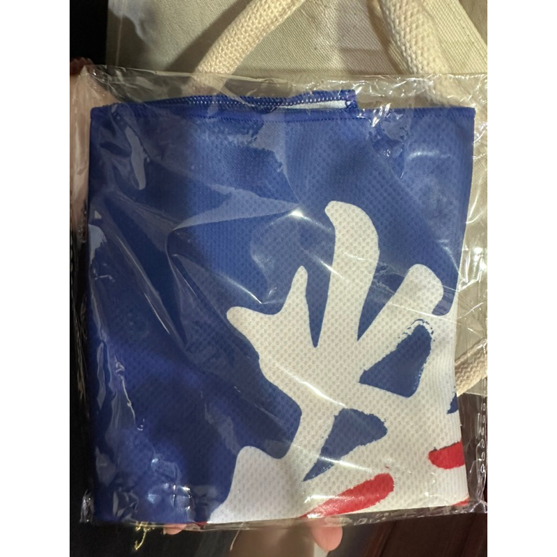 113年國慶總統府紀念品 2024雙十節 中華民國生日禮物 總統府升旗典禮紀念品 涼感巾