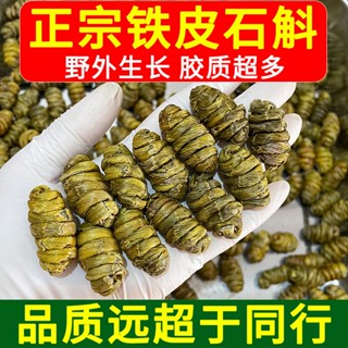 楓鬥石斛泡茶 正宗霍山四年鐵皮石斛乾貨 紫皮石斛養生茶500g