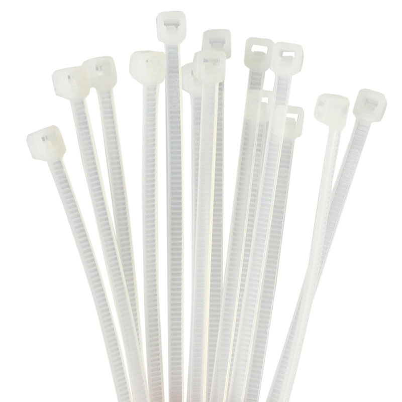 Powersync 100入的價格推薦 2025年4月 比價比個夠biggo