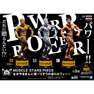 ☆DumpyToy☆ 現貨 日版 BANPRESTO 景品 MSP 中山筋肉君 理想之姿 獎盃 中山翔二 公仔