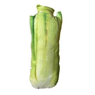 西洋芹 長58cm 芹菜 抱枕 蔬菜抱枕 模擬蔬菜抱枕 模擬
