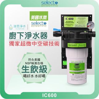 美國原裝進口 水樂 Selecto IC600 中空活性碳淨水器 ( 商用 大處理水量 濾水器 飲水機 濾芯 濾心 )