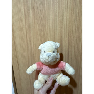 小熊維尼 Winnie the Pooh 寶寶 安撫 掌上 娃娃 玩偶 布偶 二手 絨毛 可愛