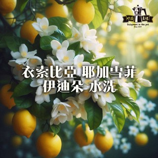 『吟遊壺裡』 ♡檸檬花香♡ 衣索比亞 耶加雪菲 伊迪朵 水洗處理｜淺烘焙 淺中烘焙 手沖咖啡豆