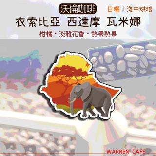 【沃倫咖啡】衣索比亞 西達摩 瓦米娜處理站 G4丨日曬丨淺中烘焙
