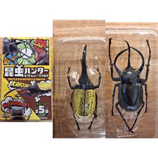 早期收藏 全新 正版 F-toys 昆蟲獵人 兩款合售 甲蟲 x 鍬形蟲 盒玩 擺飾 昆蟲 模型 昆蟲之王 盒損有汙