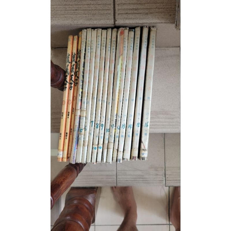 二手漫畫 天子傳奇之流氓天子 1-16完