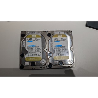 WD 金標 1TB 企業級 3.5吋 SATA硬碟(WD1005FBYZ)(二手)