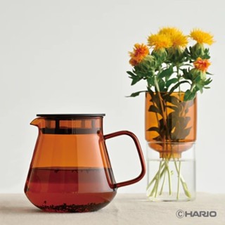 [618下殺]【日本HARIO】琥珀色/深灰色茶壺600ml《WUZ屋子-臺北》茶壺 茶具 泡茶 咖啡 咖啡壺 琥珀 壺