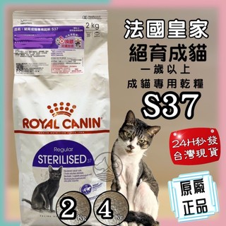 公司貨💗妤珈寵物店💗貓飼料 貓乾糧➤S37絕育成貓 4公斤/包 ➤法國皇家 ROYAL CANIN 貓飼料