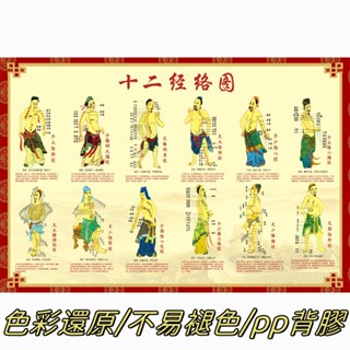 【免運】人體穴位圖大掛圖中醫養生十二經絡穴位男性針灸艾灸穴位圖足部反射區掛圖經絡穴位圖足底足療按摩好處圖片中醫養生海報掛