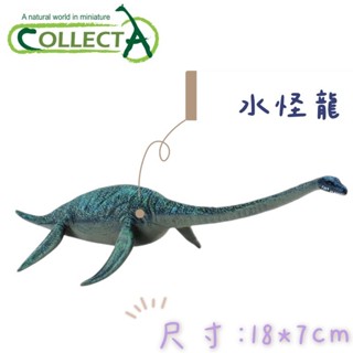 【W先生】CollectA 英國高擬真模型 水怪龍 模擬 海洋生物 海洋動物 動物模型 公仔