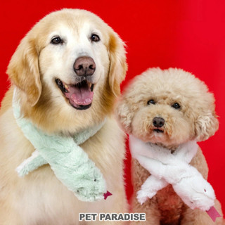 【PET PARADISE】寵物造型圍巾(白蛇/青蛇)｜PP 2025新春 十二生肖蛇年