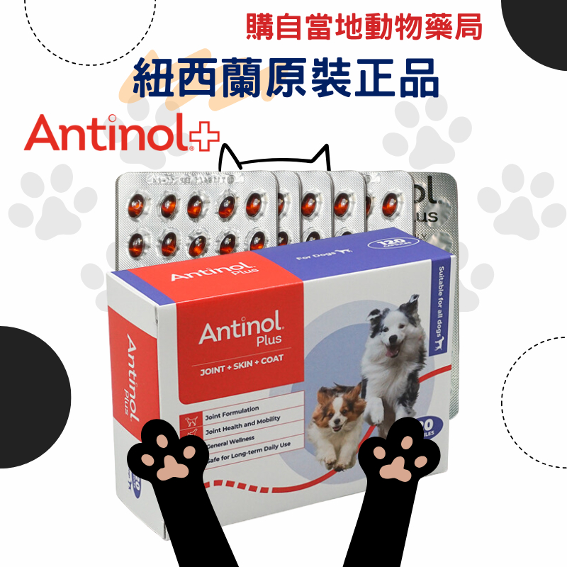 【每日出貨】Antinol Plus紐西蘭原裝正品拆賣60/90/120/180顆鋁箔單顆裝關節保養同安適得酷版