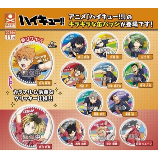 【小廢物玩具】現貨 Stasto 排球少年角色閃亮徽章 排球少年 排少 徽章 日向 研磨 影山 扭蛋 轉蛋 全13款