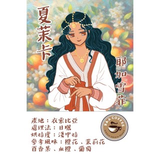 [R&A Coffee]暢銷濾掛咖啡 夏茉卡 耶家雪菲!!!