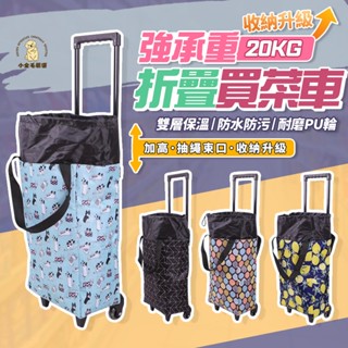 【蝦皮隔日到貨】菜籃車 買菜車 購物車 承重20kg 菜籃推車 折疊購物車 買菜拉車 買菜推車 拉桿購物車 推車