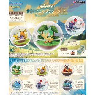 現貨 Re-ment 盒玩 寶可夢寶貝球盆景品P14 中盒6入
