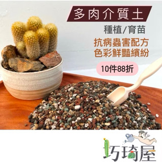 ｜巧琦屋｜多肉介質土1公升 多肉植物專用土 多肉土 彩虹多肉土 塊根植物土 多肉植物土 顆粒土 多肉育苗土 仙人掌土