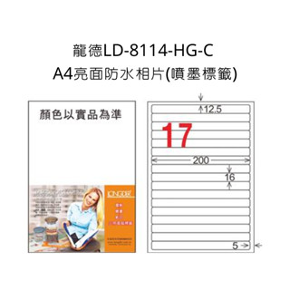 龍德 LD-8114-HG-C A4亮面防水相片 噴墨標籤 可列印 三用電腦標籤