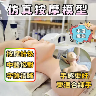 ⭐臺灣出貨⭐ 光頭模型 穴位模特 專用化妝 半身模擬 假人頭模型 按摩光頭 化妝紋繡 嫁接模特 美容按摩模型 模特ZMN