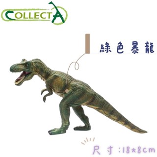 【MRW】CollectA 英國高擬真模型 綠色暴龍 長約18公分 模擬 侏儸紀 恐龍模型 動物模型 公仔