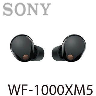 【MR3C】限量 含稅 SONY 索尼 WF-1000XM5 黑色 真無線降噪 入耳 耳道式耳機麥克風 公司貨