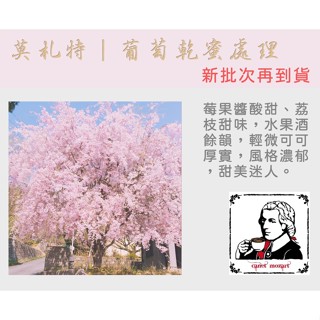 【快晴咖啡．莫札特｜葡萄乾蜜處理】哥斯大黎加｜音樂家系列｜精品咖啡豆