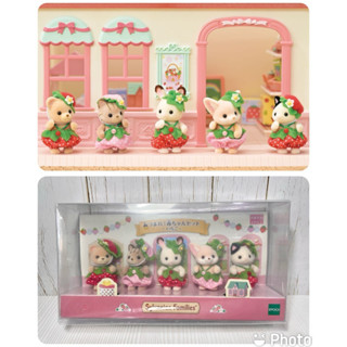 過年限時特價★五寶村★正版 日版 森林家族 直營店 限定販售 草莓 寶寶組 條紋貓 大耳狐 黑白貓 黃熊 可可兔