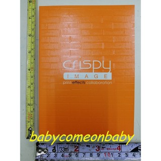 事務文具 CRISPY IMAGE 筆記本 print effects collaboration 全新未使用