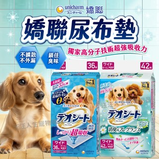 Unicharm 嬌聯 尿墊 狗尿墊 消臭大師 超吸收狗尿墊 M LL 4L 嬌聯狗尿墊 寵物尿墊 尿布墊