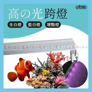 魚匠●ISTA／高之光跨燈 (全白燈／藍白燈／增豔燈)〞伸縮燈架 ●水族一線品牌（水草燈、魚缸跨燈、魚缸LED燈、水族燈