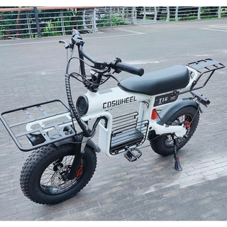 【天翼科技】台灣代理公司貨Coswheel T16 48V 1000W 20A/25A 胖胎山地電動自行車越野電輔車