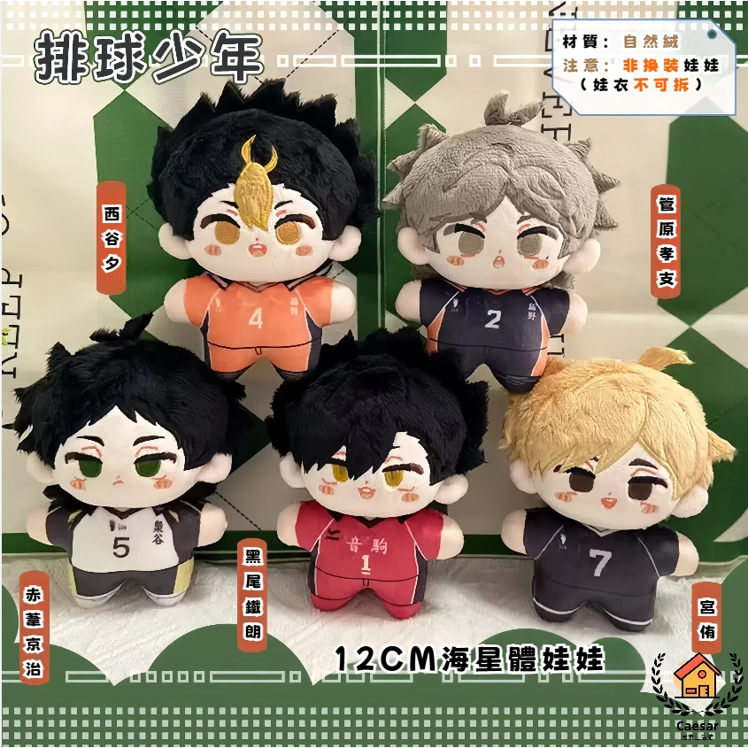 台灣出貨_排球少年娃娃丨萌蛋 排球少年 影山娃娃 日向娃娃 孤爪研磨 赤葦京治 黑尾鐵郎 管原孝支【限時少量發20cm】