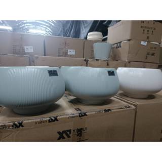 寵物骨灰盆栽 盆栽樣式選擇參考【寵物秘密花園 】客製化商品 請私訊