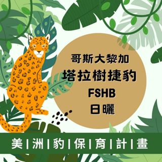 哥斯大黎加咖啡豆 塔拉樹 捷豹 FSHB 日曬咖啡豆 動物友善咖啡豆 塔拉樹咖啡豆 塔拉樹咖啡生豆