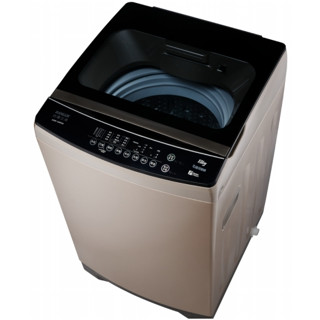 SANLUX臺灣三洋 13公斤變頻洗衣機ASW-130DVA