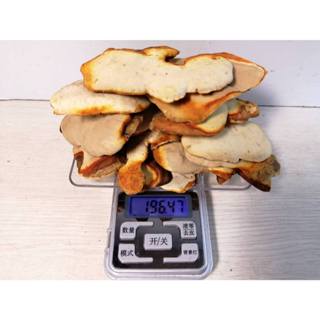 (長鴻生技)白牛樟芝.極珍貴稀有.超臨界高濃縮臺灣野生牛樟椴木養殖牛樟芝顆粒滴丸.