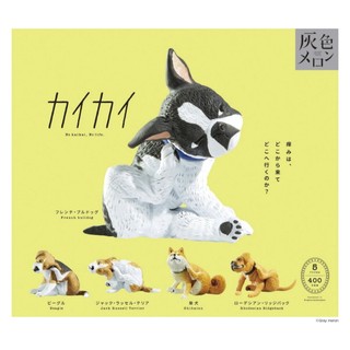 『現貨』癢癢 Standstones 扭蛋 轉蛋 【蛋樂寶】