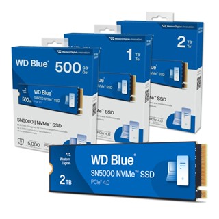 威騰 藍標 WD Blue SN5000 NVMe SSD 500G 1T 2T Pcle M.2 2280 固態硬碟