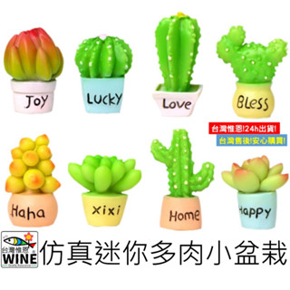 WINE臺灣惟恩 微景觀 模擬迷你多肉小盆栽 可愛模擬仙人掌盆栽 模擬 仙人掌盆栽 仙人掌 多肉 水族 室內佈置