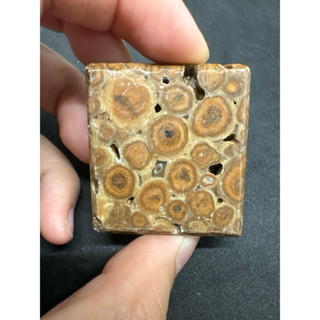 P4698 天然泰國龍宮舍利原礦 靈骨舍利 墜子 無事牌 墜飾 已打孔
